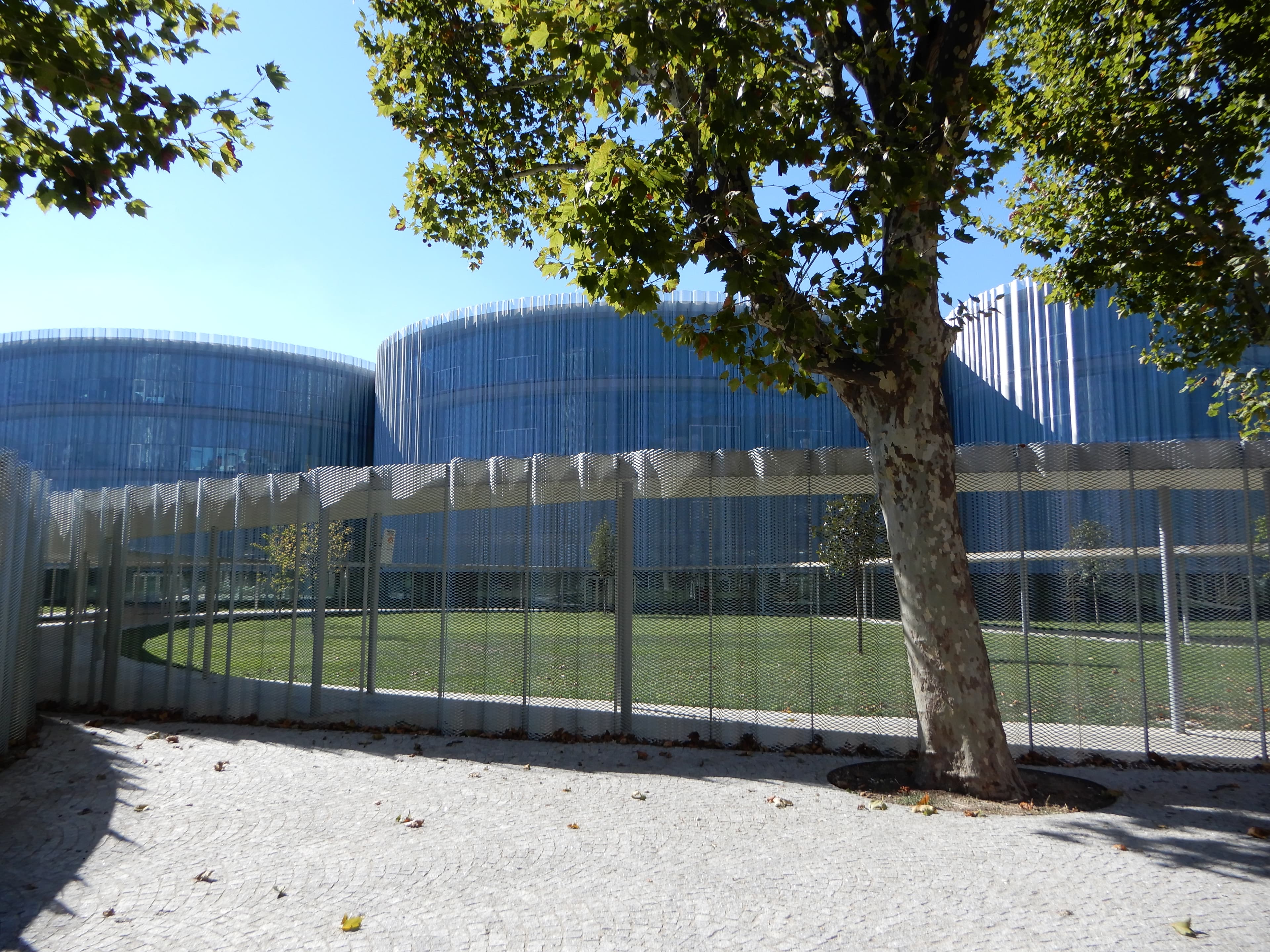 Bocconi University campus overview