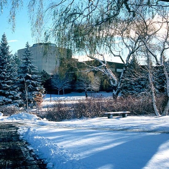 University of Waterloo campus overview