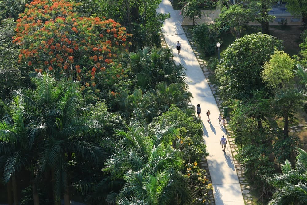 British University Vietnam campus overview