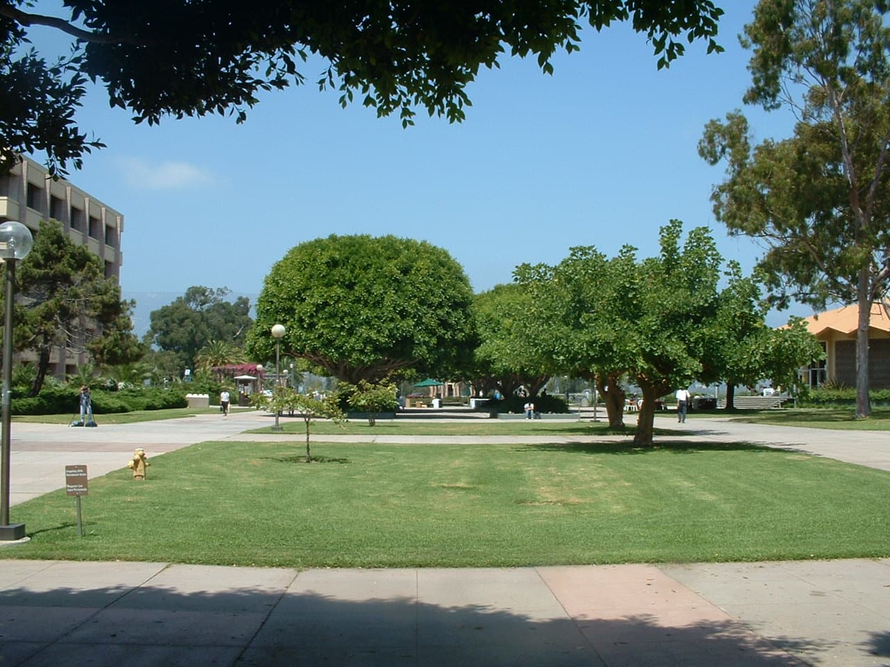 University of California Santa Barbara campus overview
