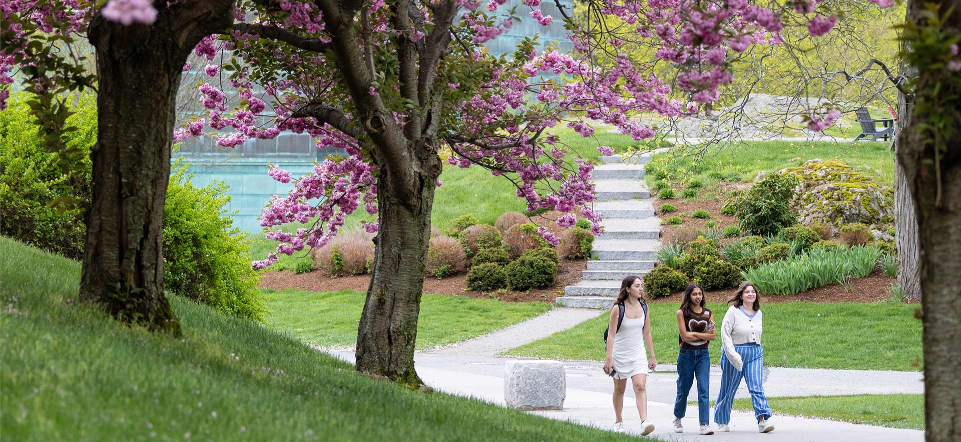 Brandeis University campus overview