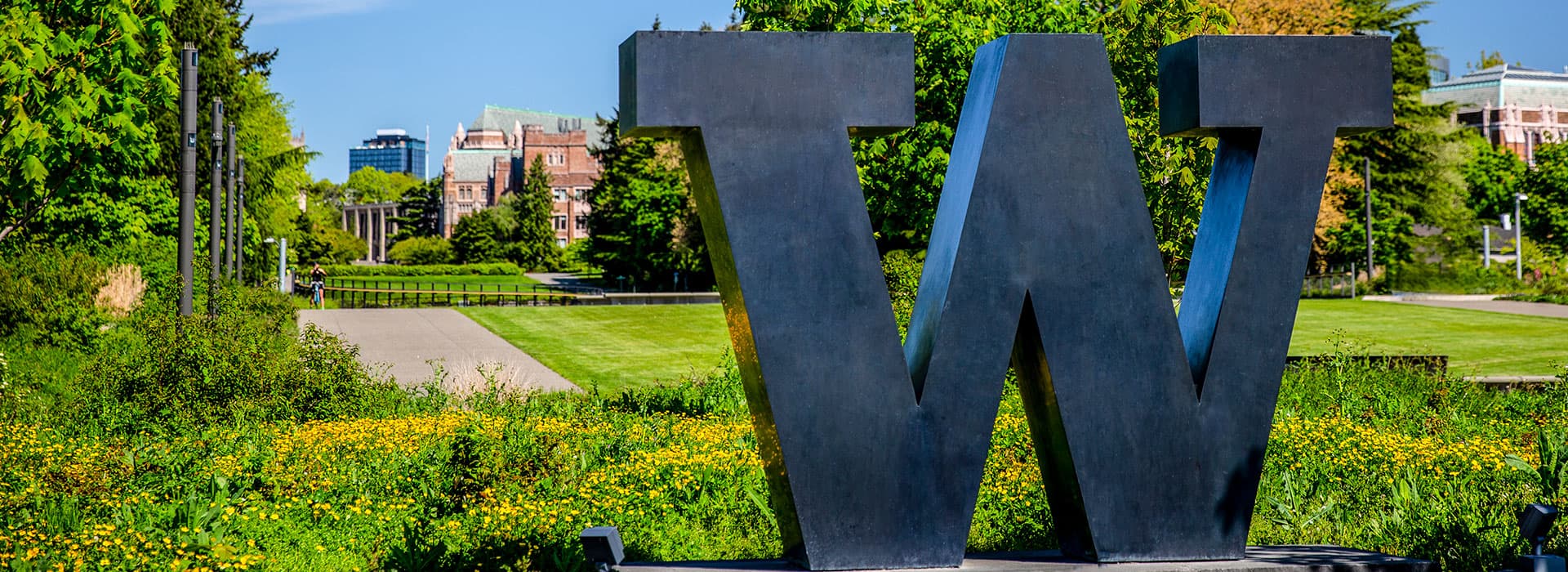 University of Washington campus overview