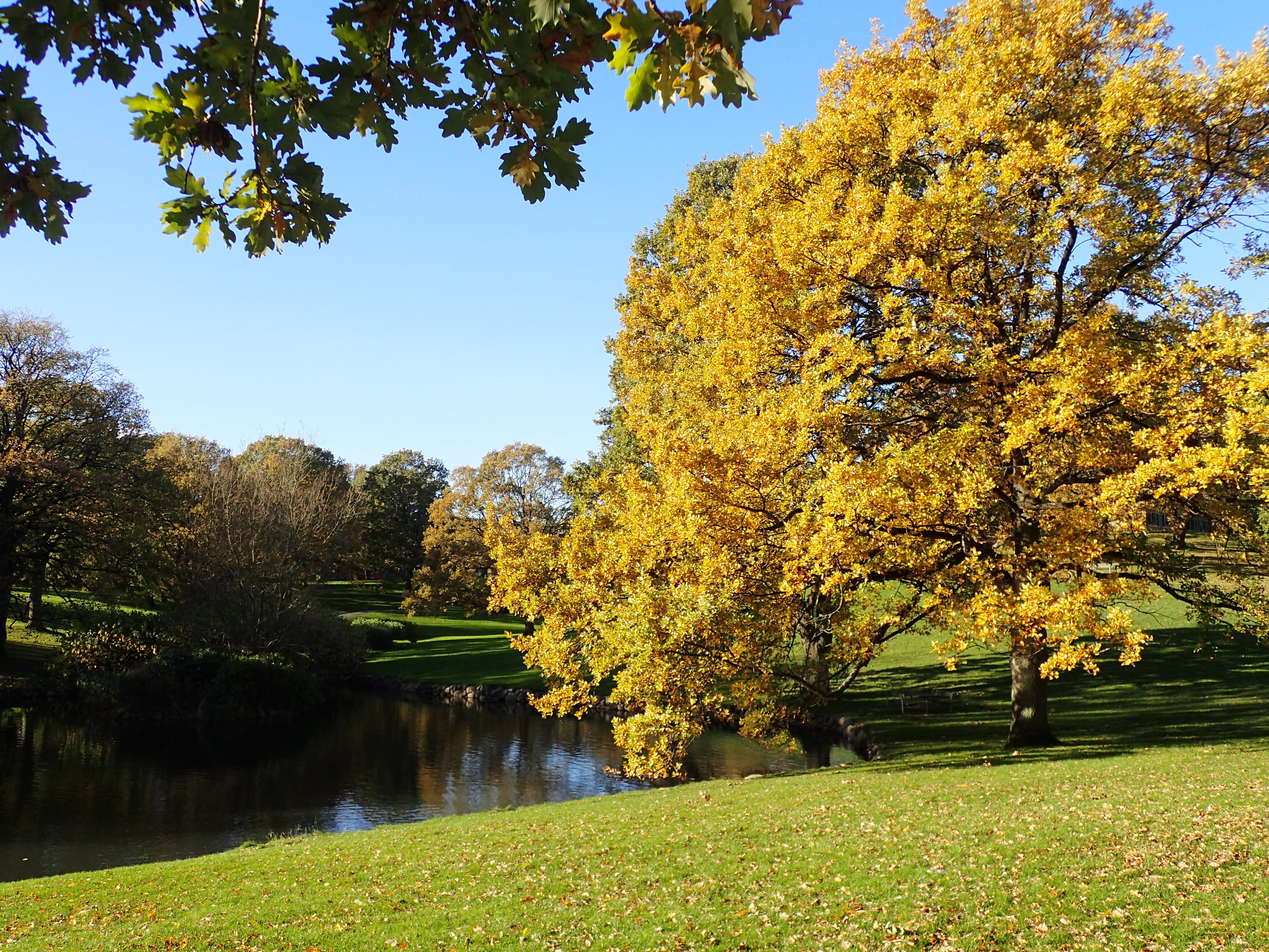 Aarhus University campus overview