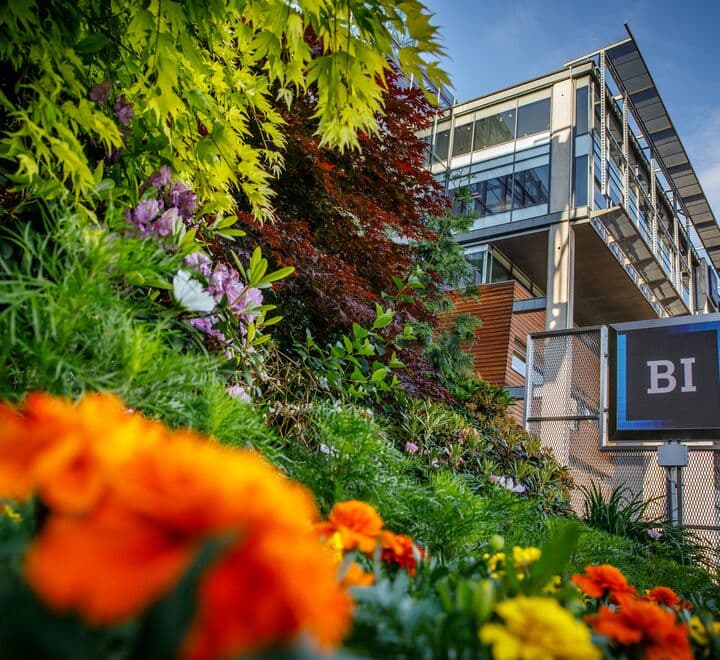 BI Norwegian Business School campus overview
