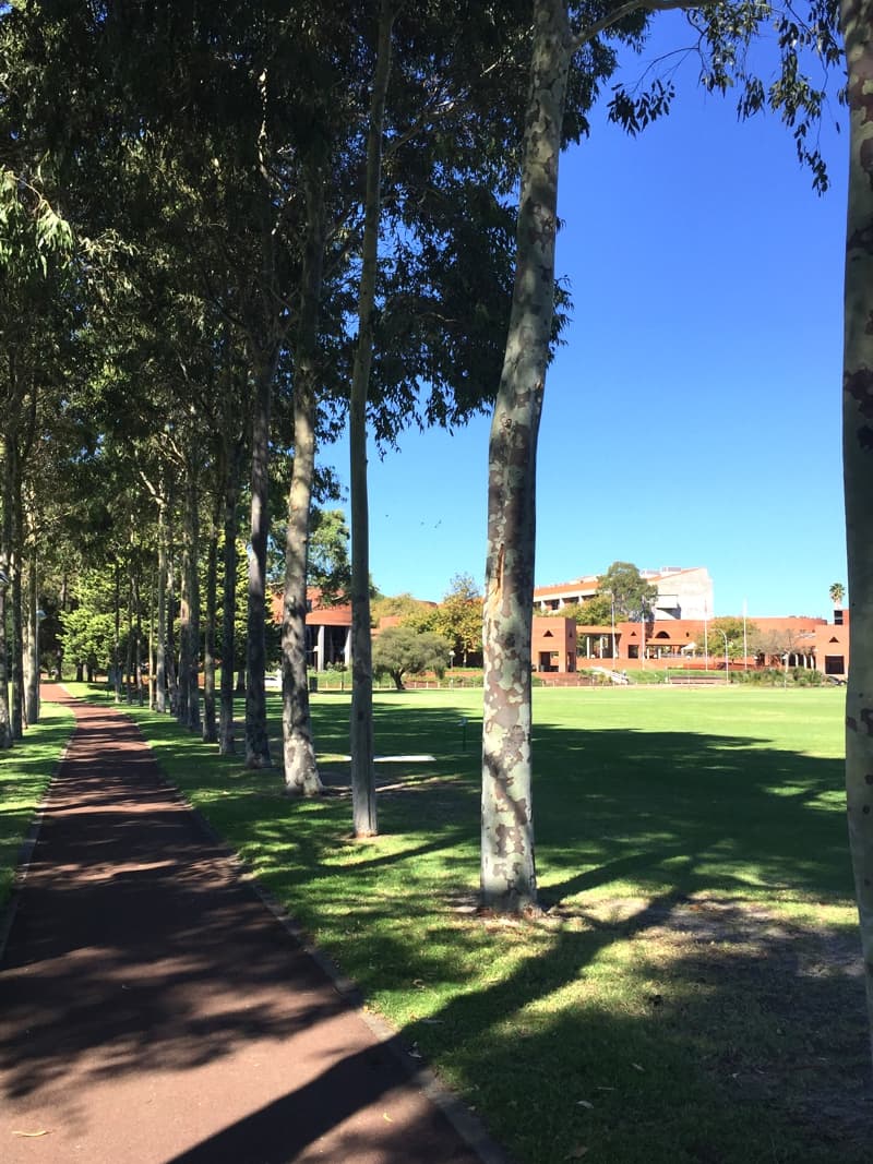 Curtin University campus overview
