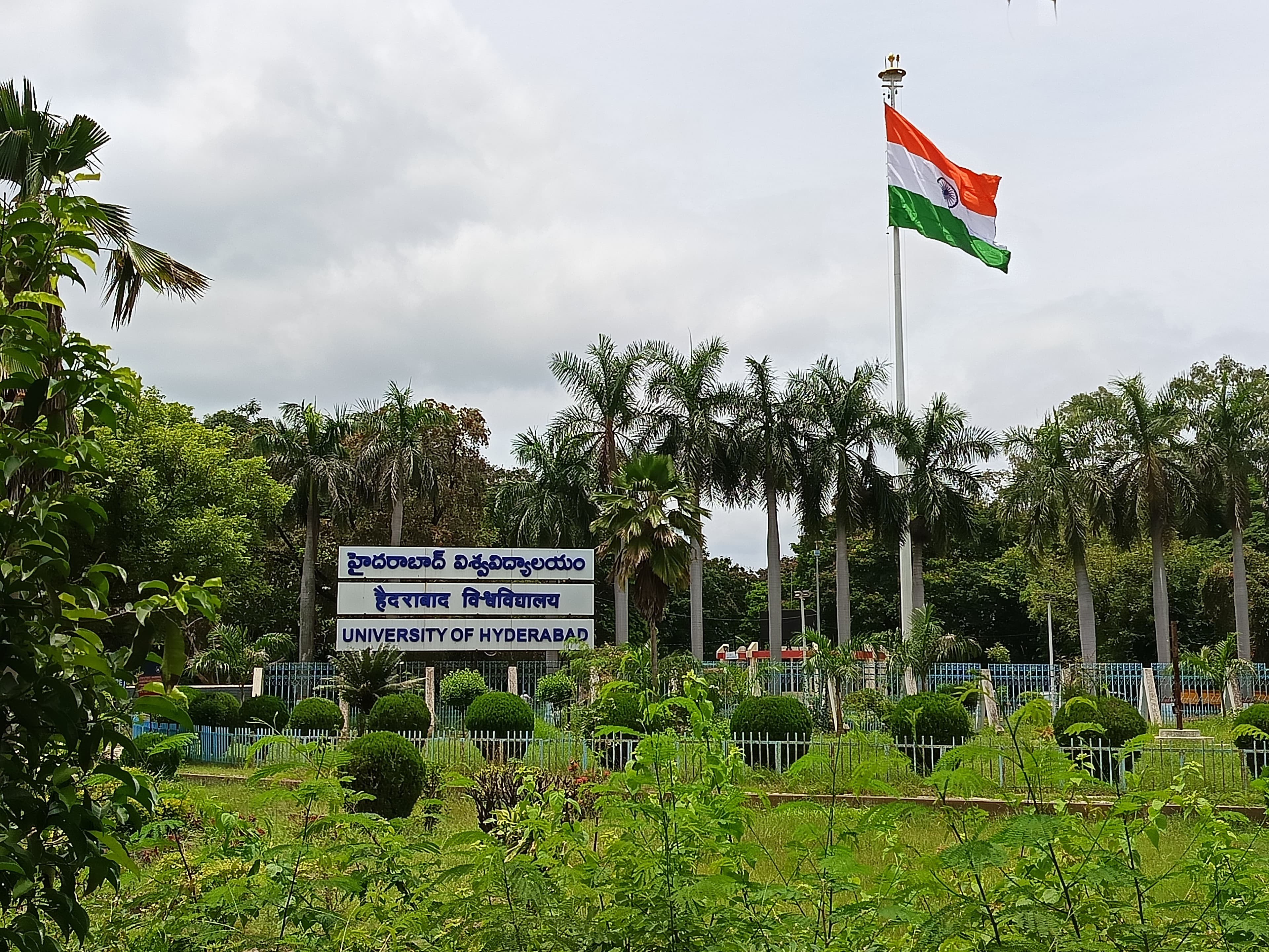 University of Hyderabad campus overview