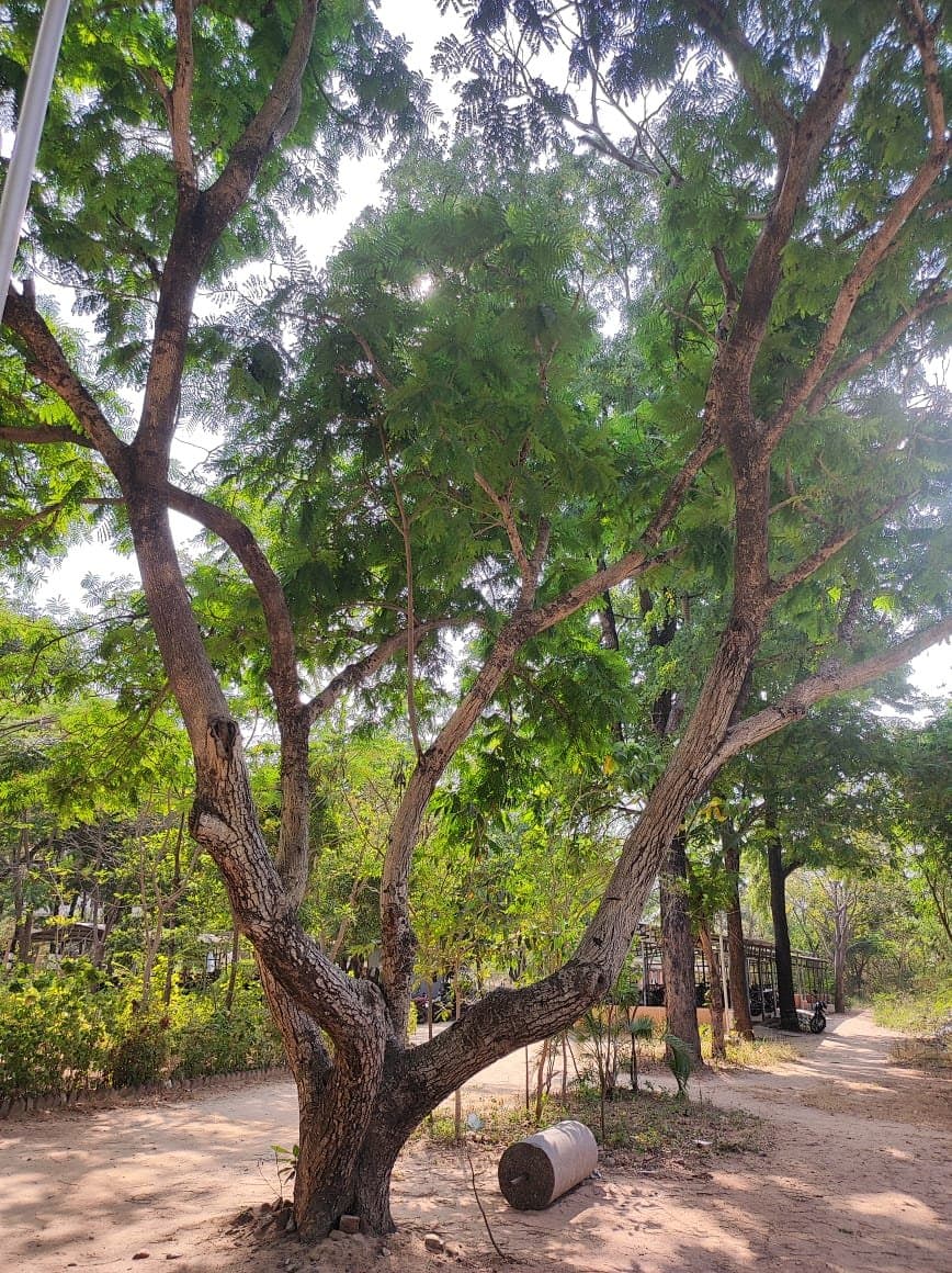 C. Abdul Hakeem College, Melvisharam campus overview