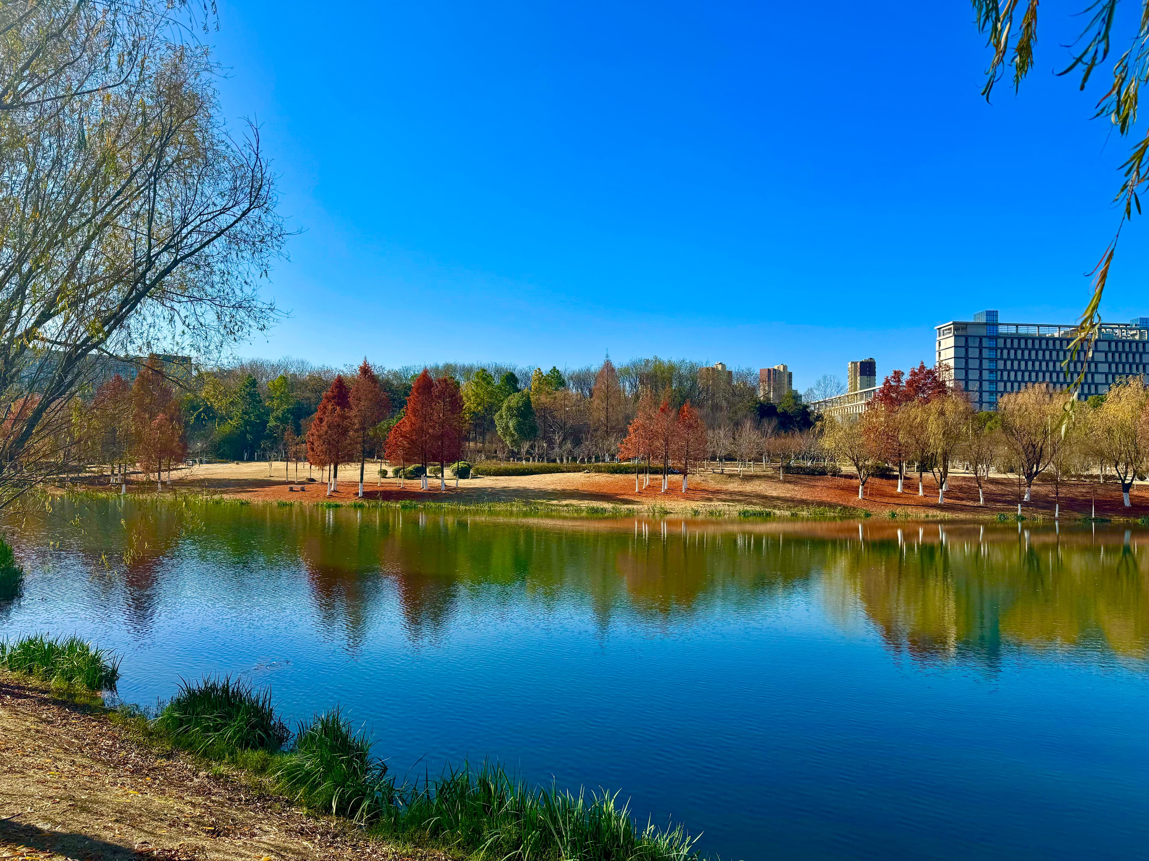 Jiangsu University campus overview