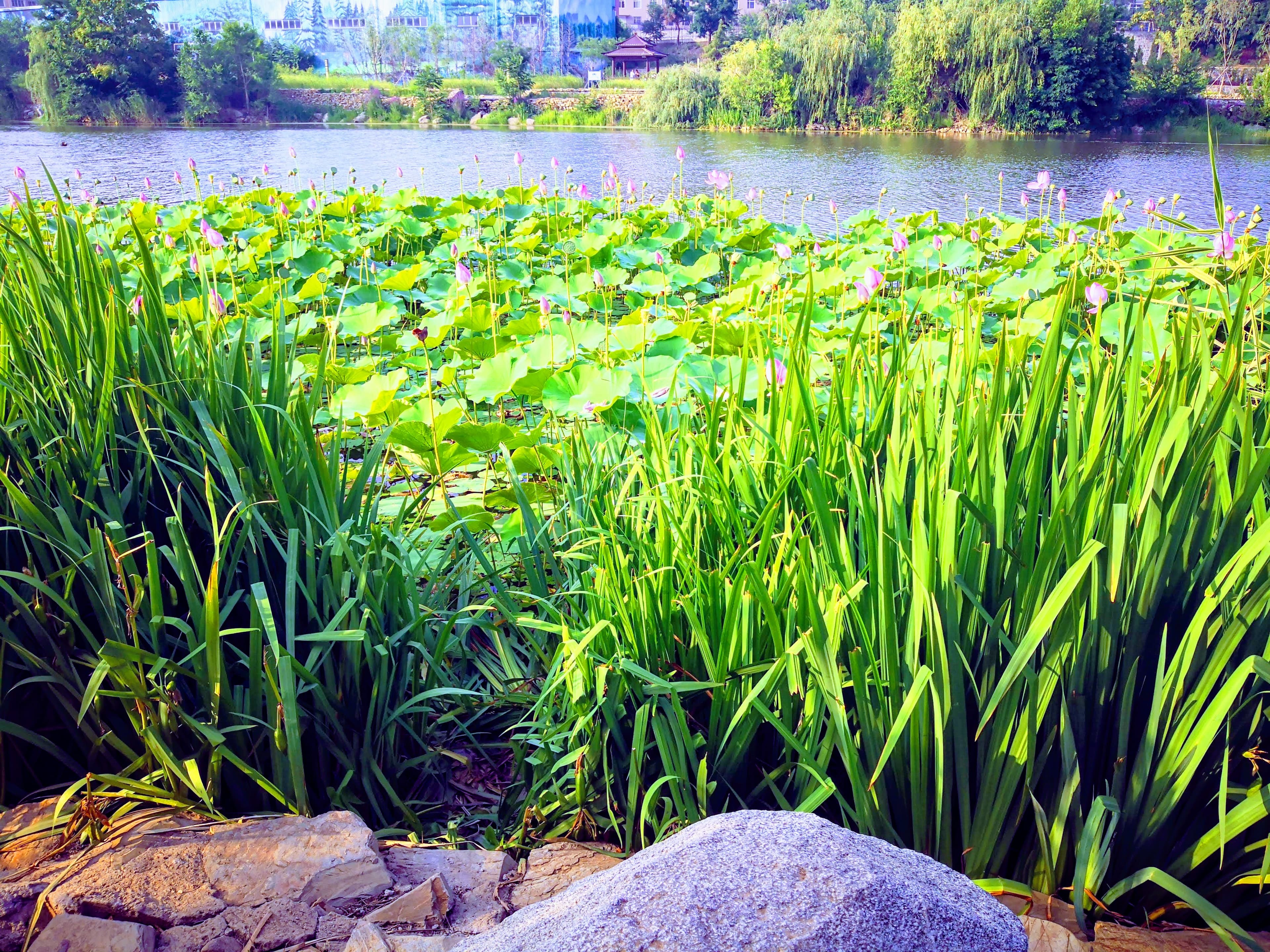 Dalian Maritime University campus overview