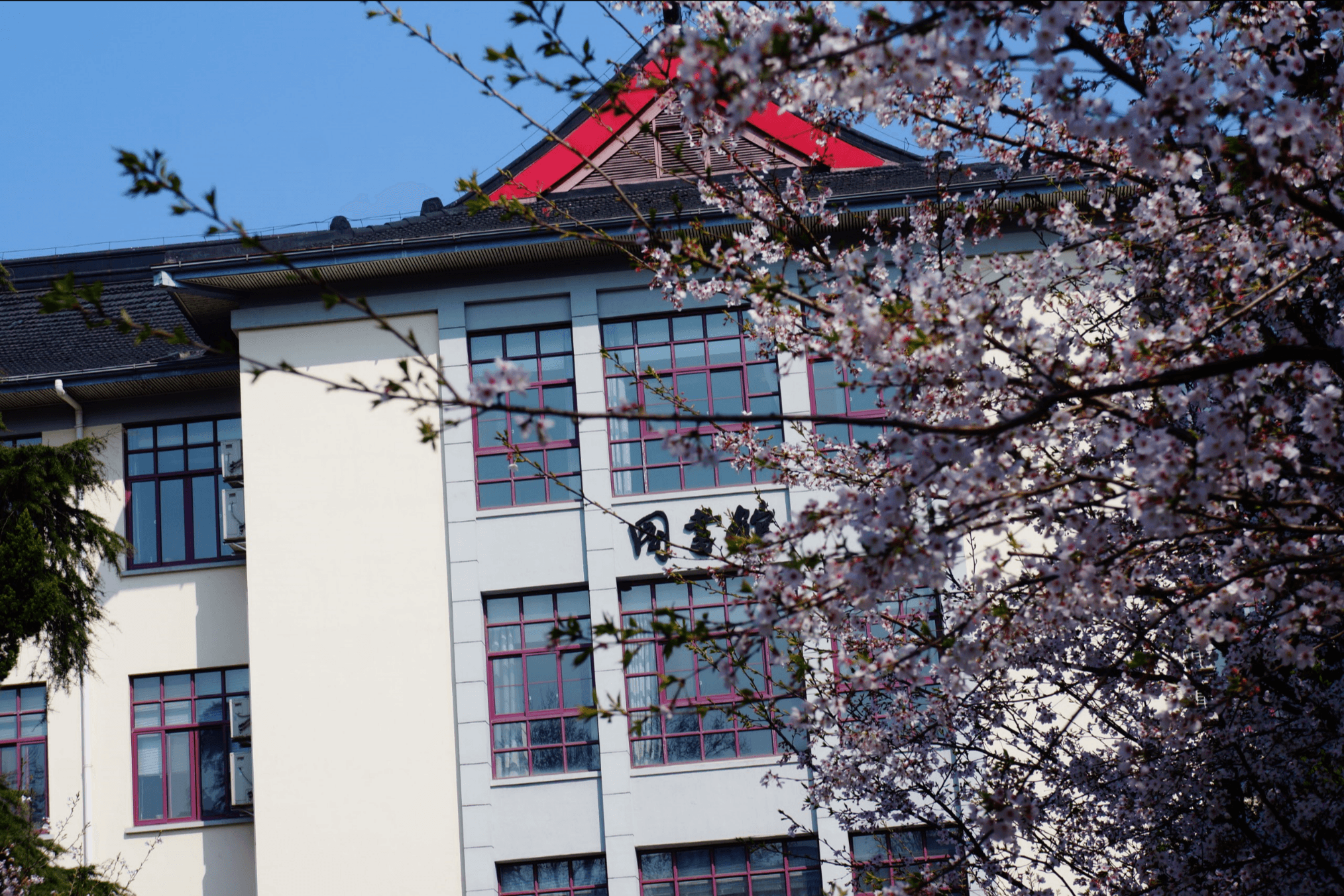 Nanjing Forestry University campus overview