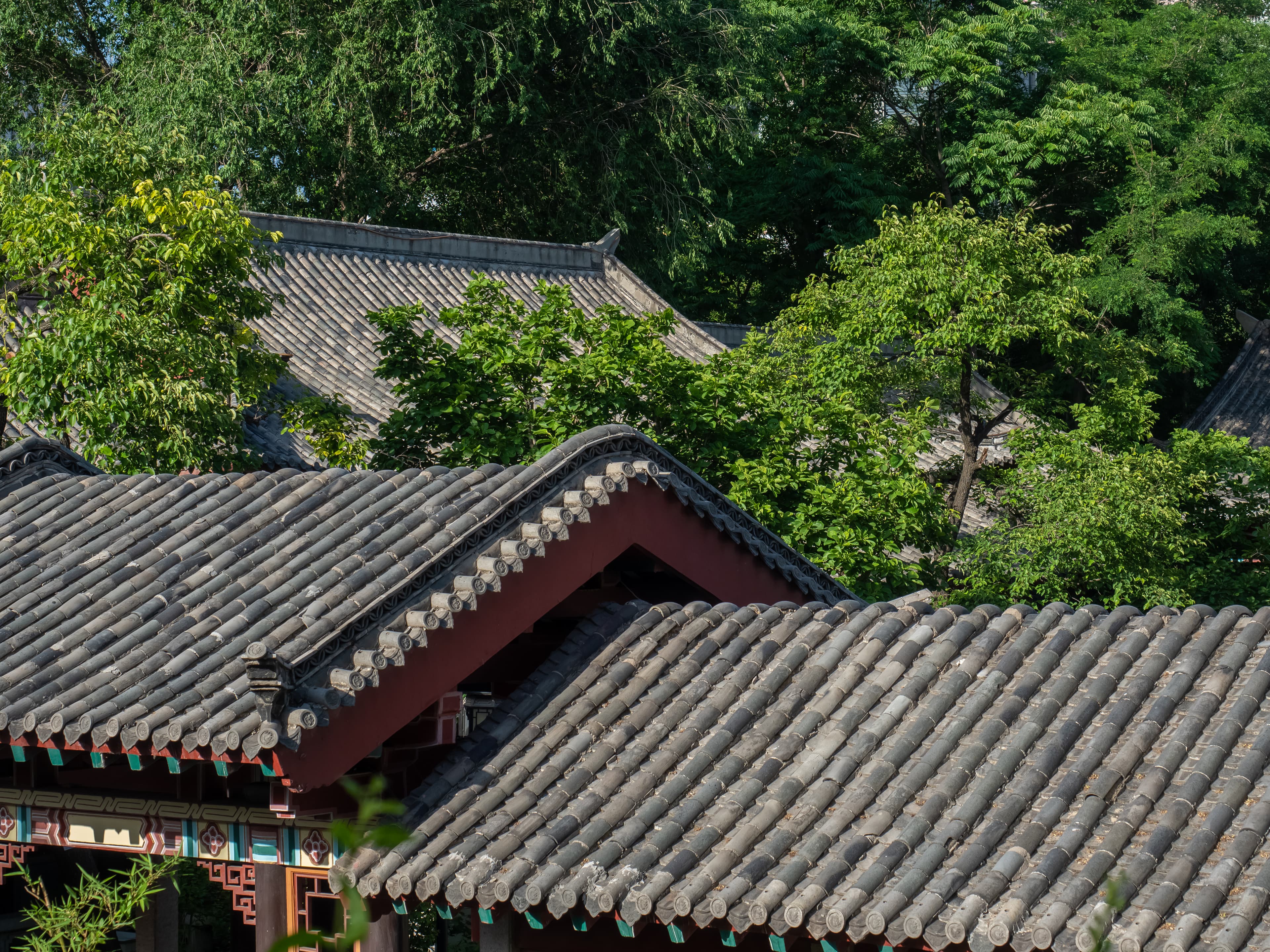 University of Jinan campus overview